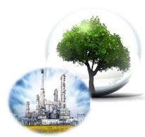 THE 1 ST NATIONAL VIRTUAL CONFERENCE ON CHEMICAL PROCESS