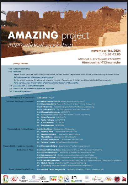 AMAZING project international workshop